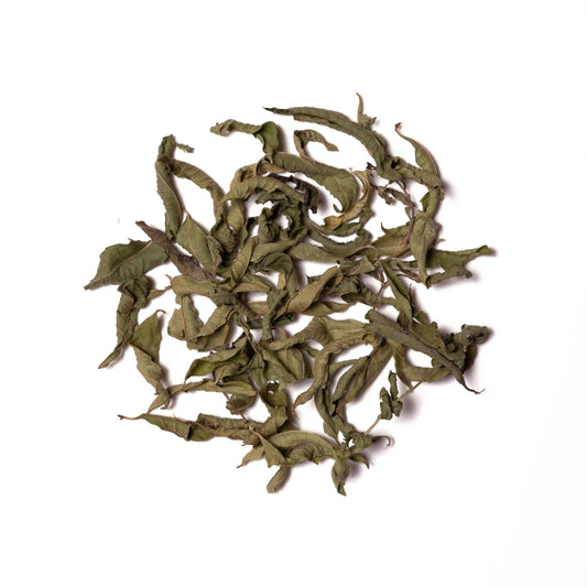 Olive Leaf Lavender Lemon Verbena Tea