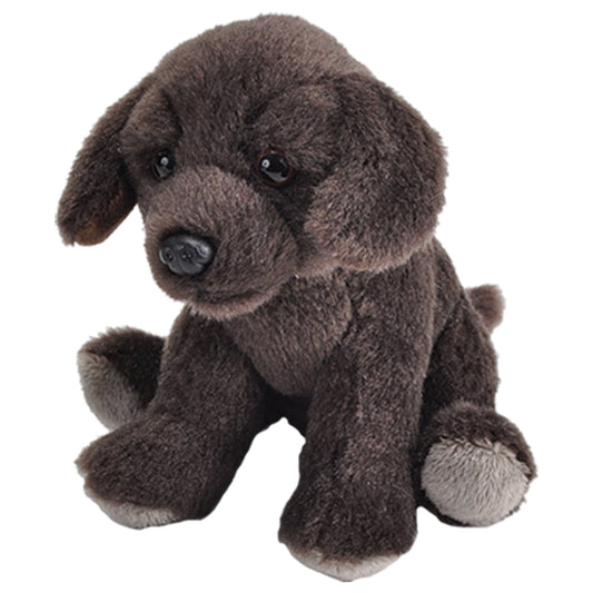 Chocolate Labrador