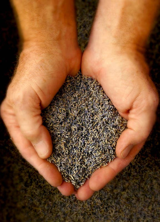 Lavender Buds / 1lb